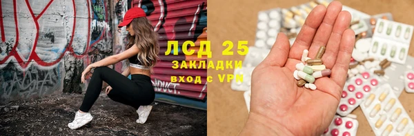 амф Дмитров