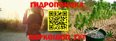 индика Кулебаки