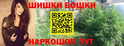 индика Кулебаки