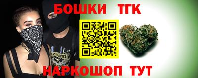 индика Кулебаки