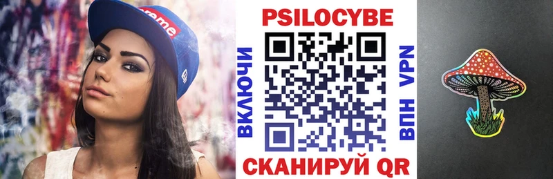Галлюциногенные грибы Psilocybe  наркотики  Дзержинск 