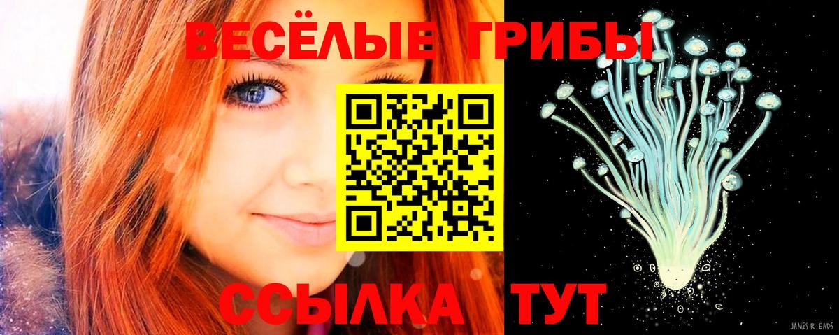 что такое   Галлюциногенные грибы мухоморы  Вход с VPN  Дзержинск 