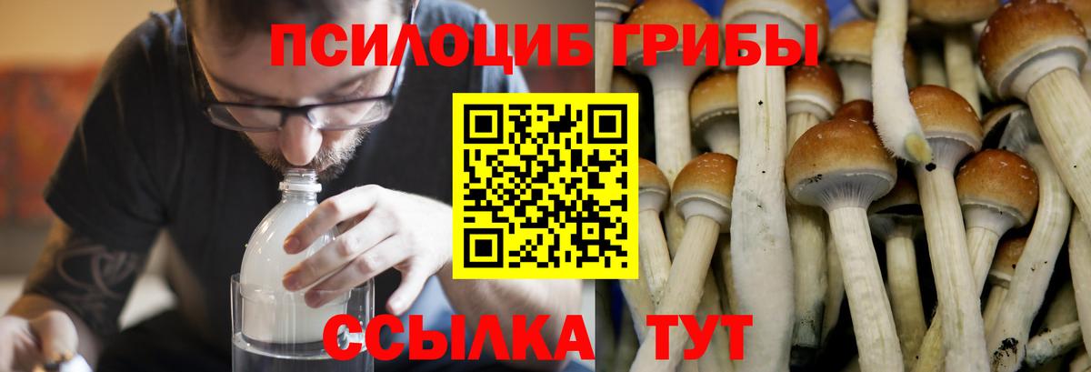 Галлюциногенные грибы MAGIC MUSHROOMS Дзержинск